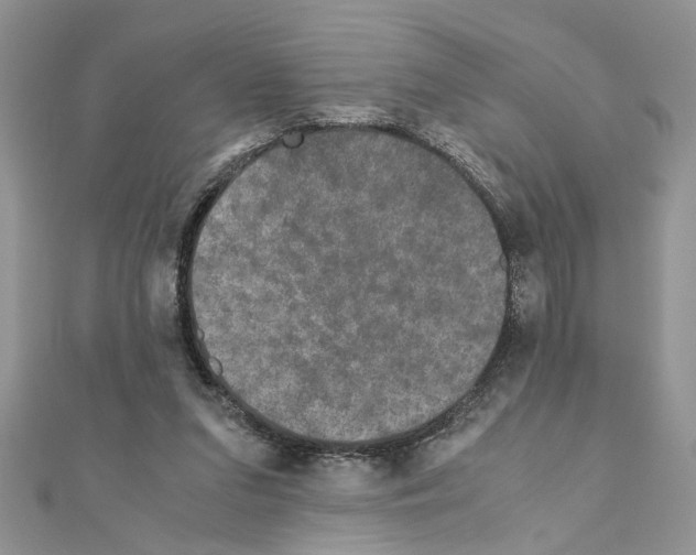 X0000110870207200907301420