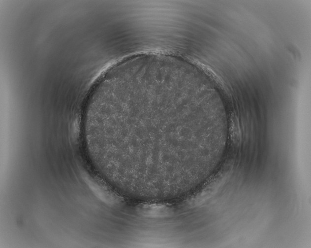 X0000110870208200907301420