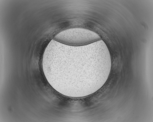 X0000110870209200907301420