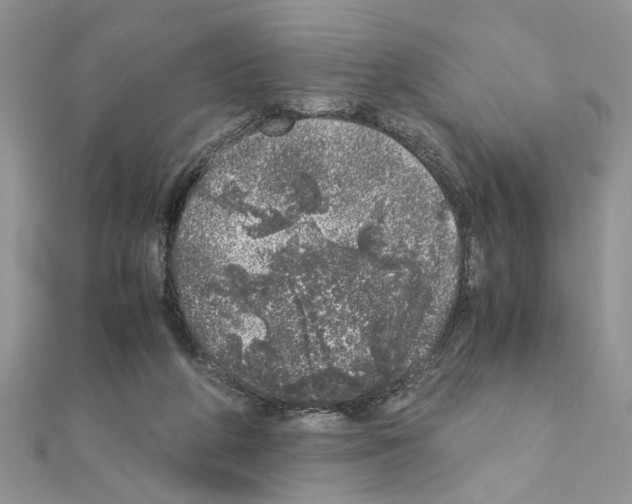 X0000110870210200907301420