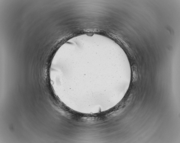 X0000110870211200907301420