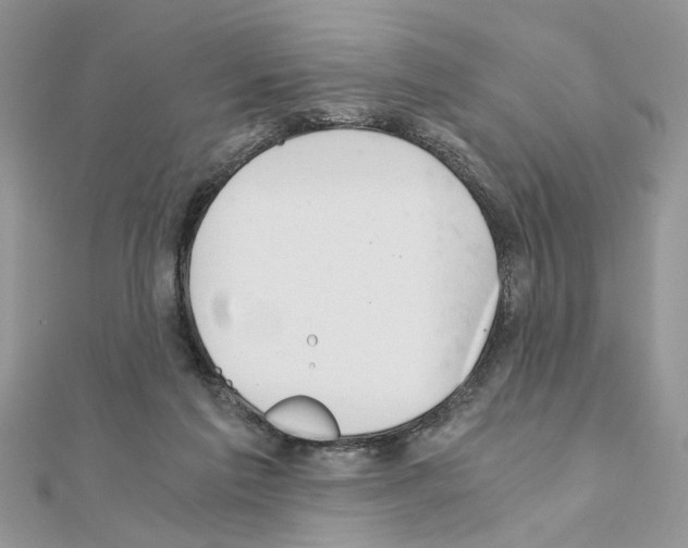 X0000110870213200907301420