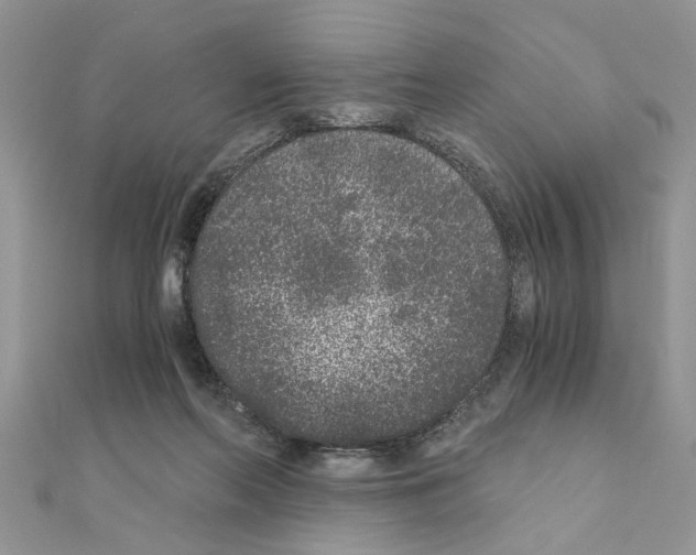 X0000110870214200907301420