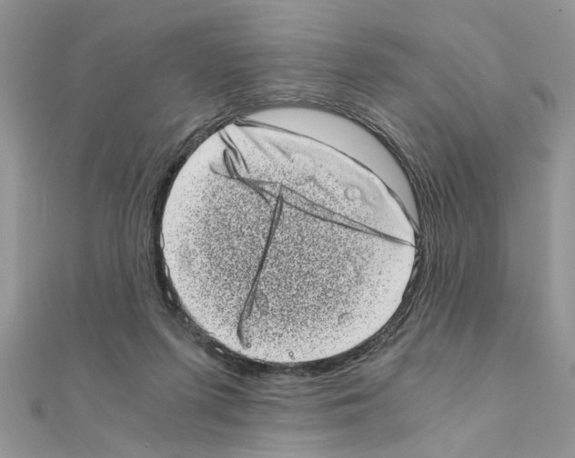 X0000110870215200907301420