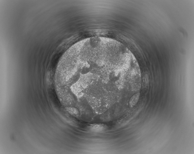 X0000110870218200907301420