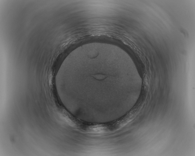 X0000110870219200907301420