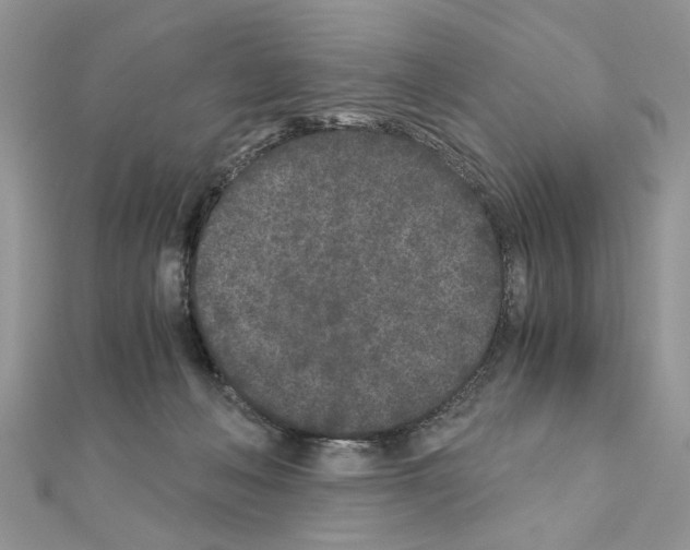 X0000110870222200907301420