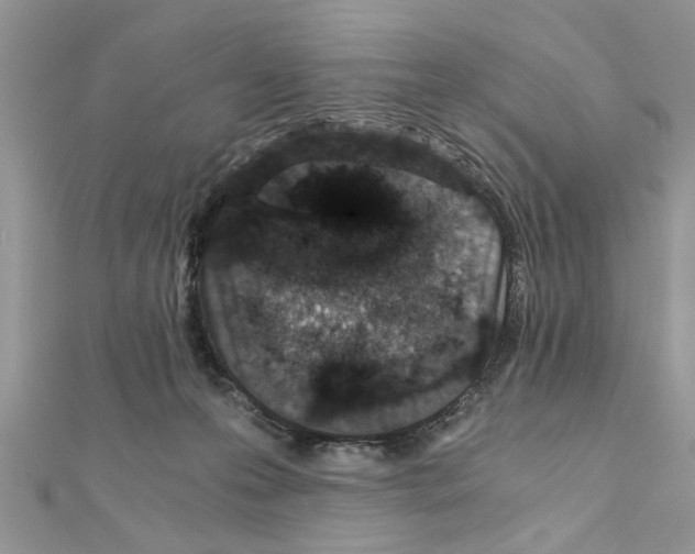 X0000110870223200907301420