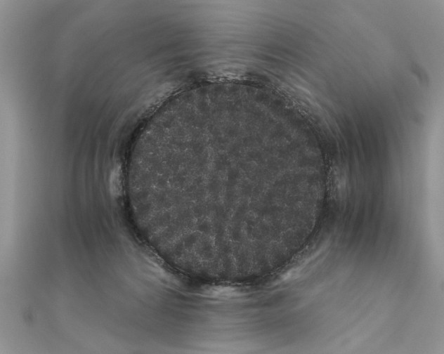 X0000110870224200907301420