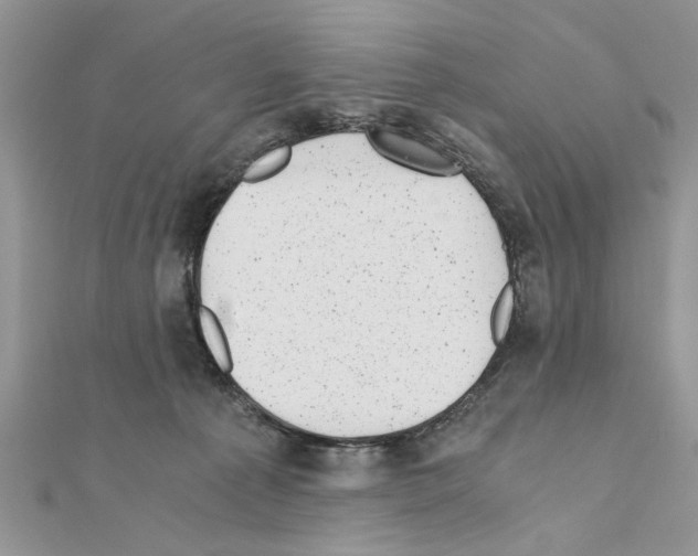 X0000110870225200907301419