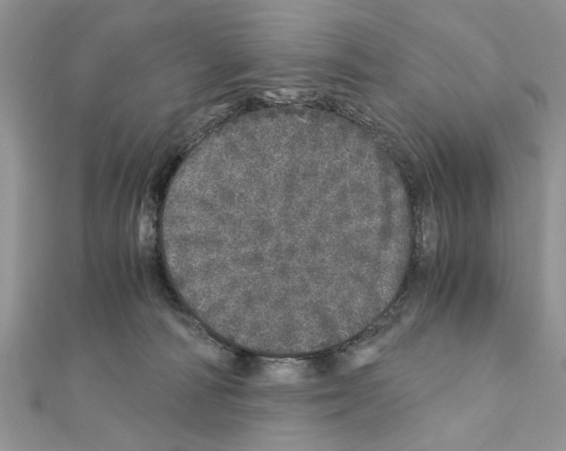 X0000110870226200907301419