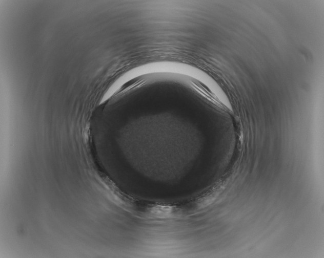 X0000110870227200907301419