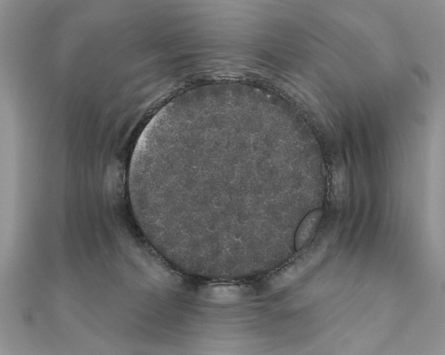 X0000110870228200907301419