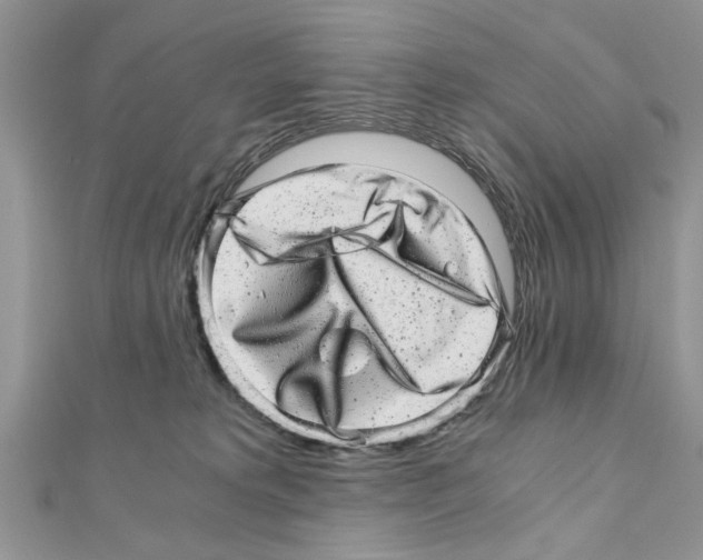 X0000110870229200907301419