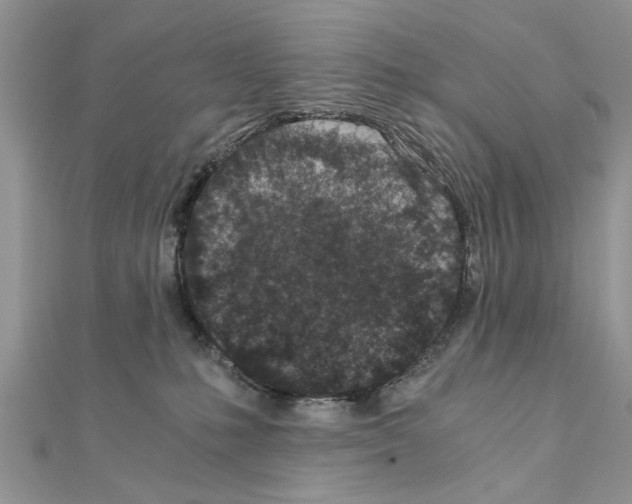 X0000110870231200907301419