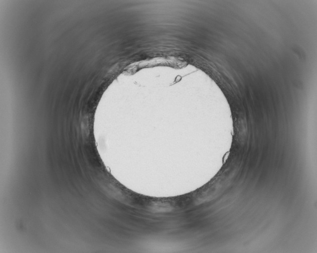 X0000110870232200907301419