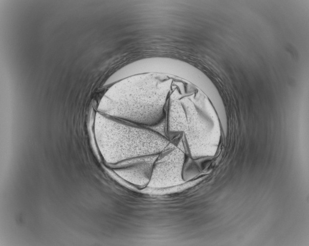 X0000110870233200907301419