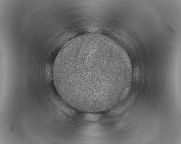 X0000110870234200907301419