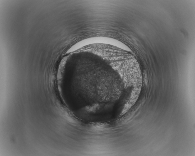 X0000110870235200907301419