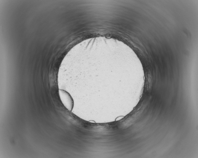 X0000110870236200907301419