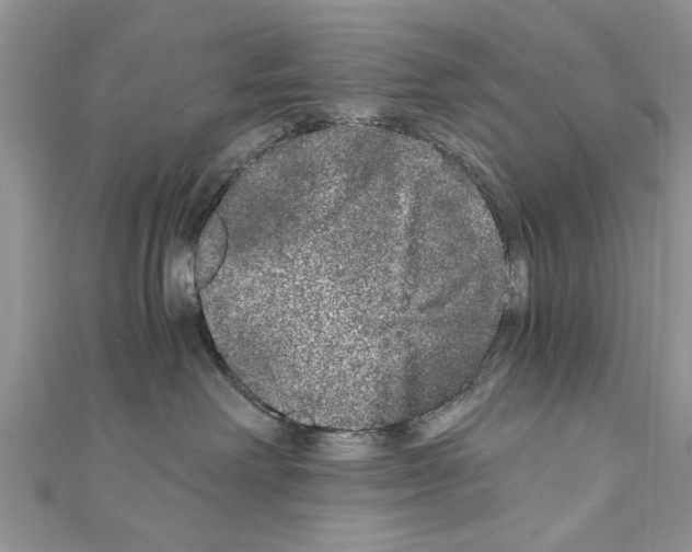 X0000110870238200907301419