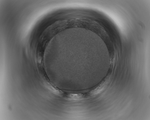 X0000110870239200907301419