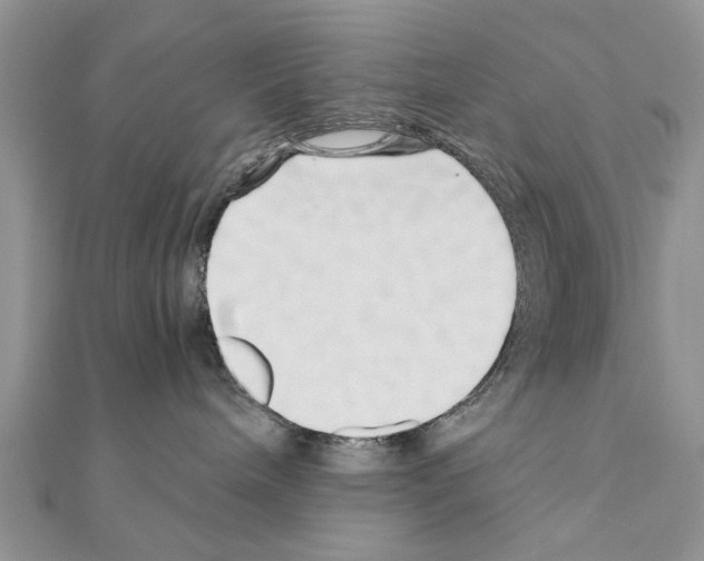 X0000110870240200907301419