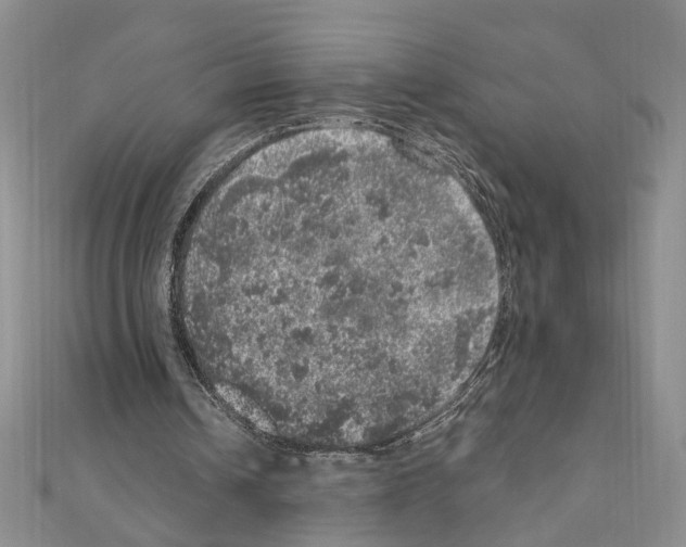 X0000110870242200907301419