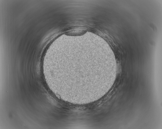 X0000110870243200907301419