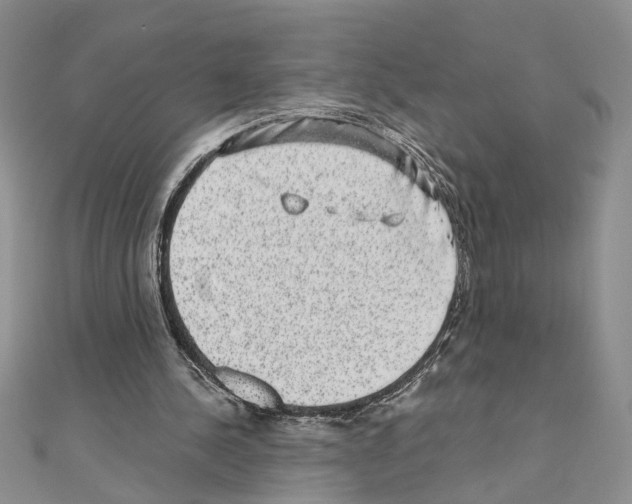 X0000110870244200907301419