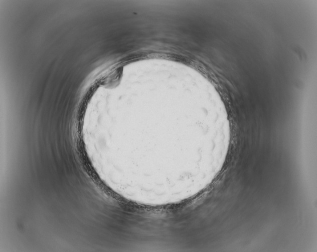 X0000110870245200907301419