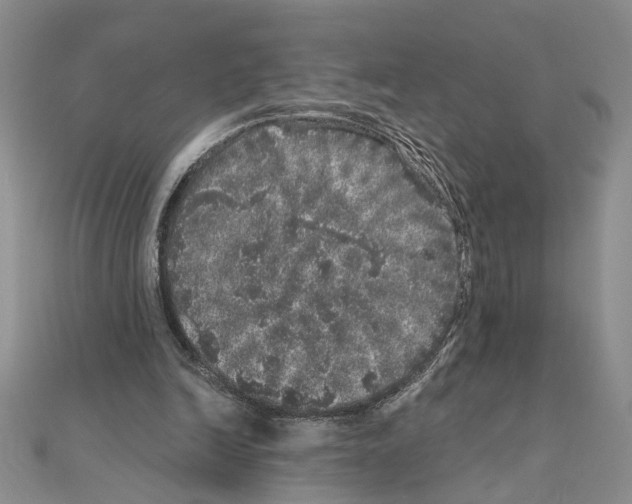 X0000110870246200907301419