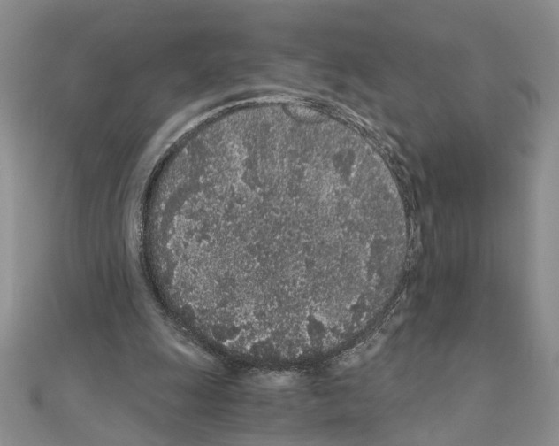 X0000110870247200907301419