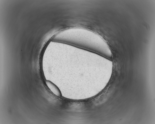 X0000110870248200907301419