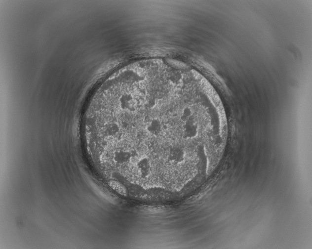 X0000110870250200907301419