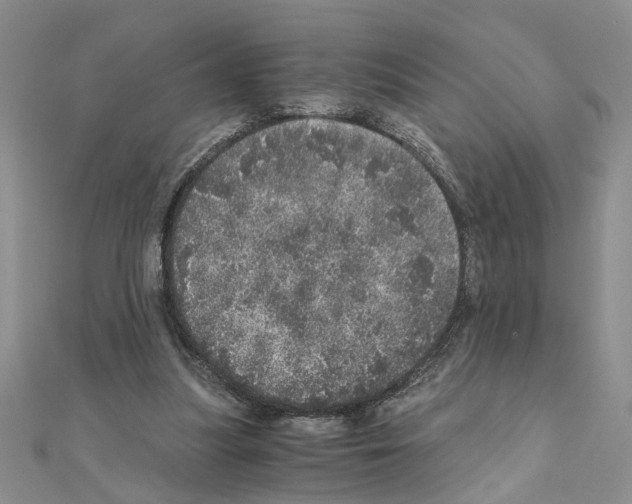 X0000110870251200907301419