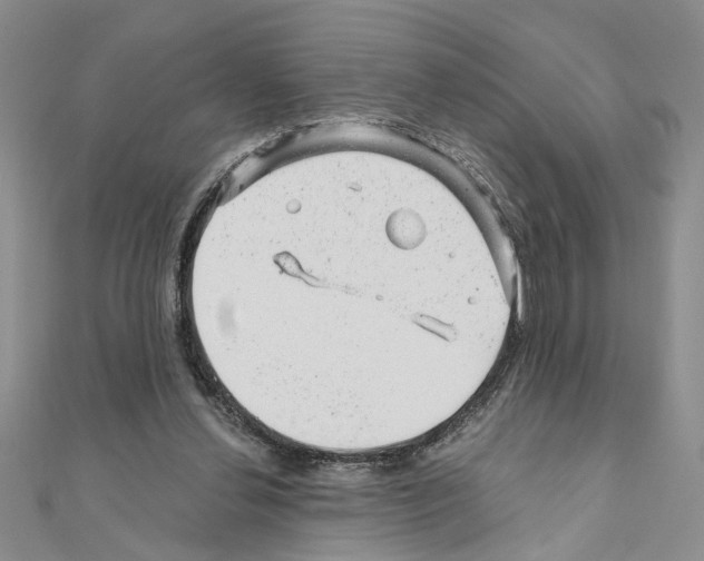 X0000110870252200907301419