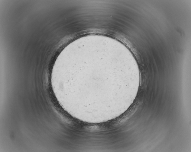 X0000110870253200907301419