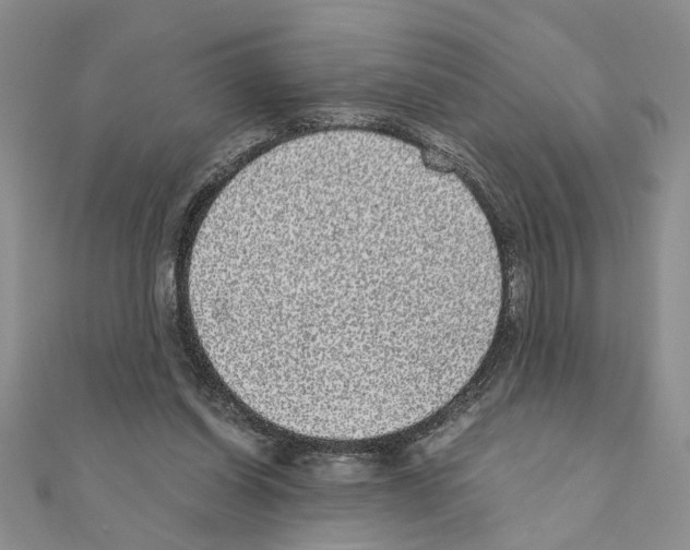 X0000110870254200907301419