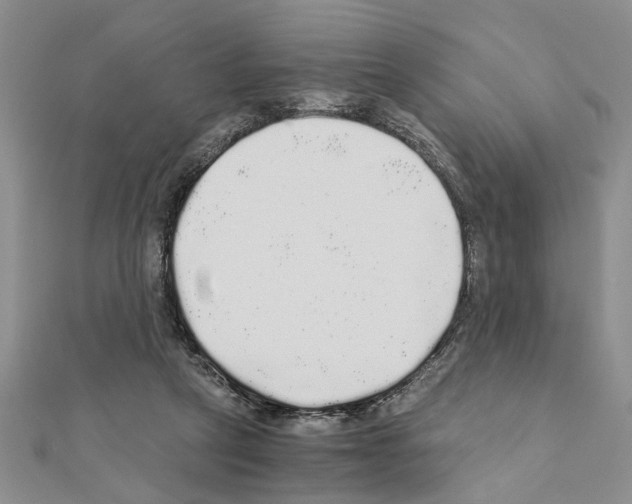 X0000110870257200907301419