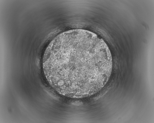 X0000110870258200907301419