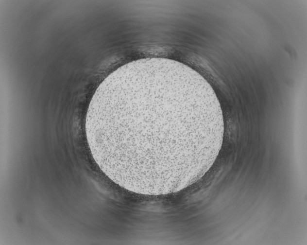 X0000110870259200907301419