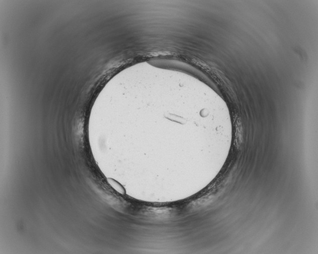 X0000110870260200907301419