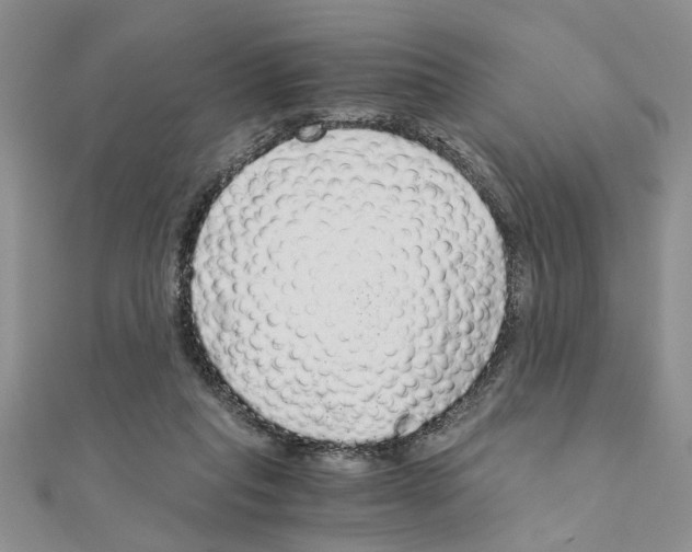 X0000110870261200907301419