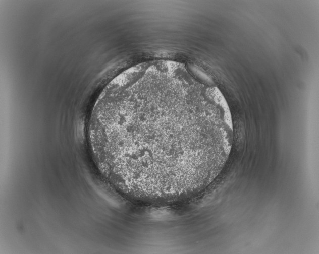 X0000110870262200907301419