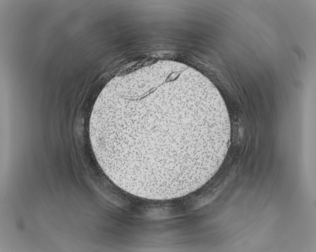 X0000110870263200907301419