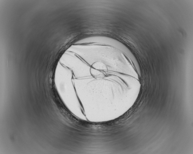 X0000110870264200907301419