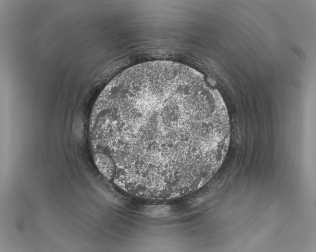 X0000110870266200907301419