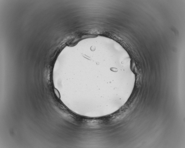 X0000110870268200907301419