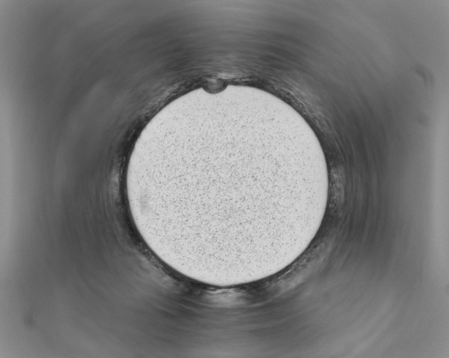 X0000110870269200907301419